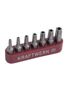 ZESTAW BITÓW TORX Z OTWOREM TPX10-TPX40 (7)