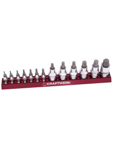 ZESTAW NASADEK TORX MAGALU 1/4"+1/2" T8-T70 (13)