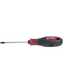 WKRĘTAK TORX T30X100 ERGOKRAFT