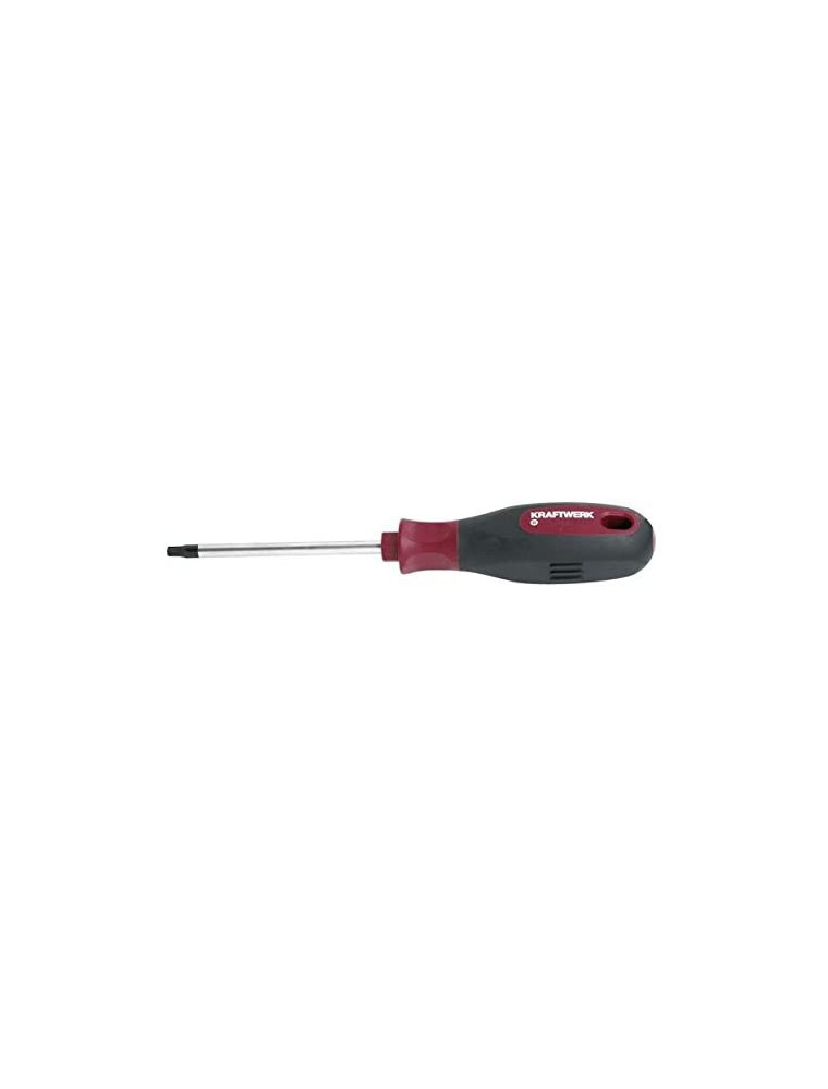 WKRĘTAK TORX TP25X100 ERGOKRAFT WKRĘTAK TORX TP25X100 ERGOKRAFT