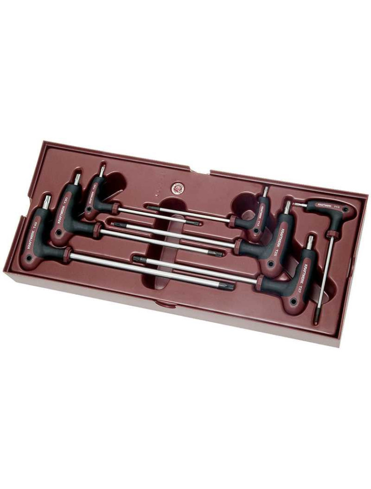 ZESTAW KLUCZY "T" TORX T10-T10 COMPLETO (7) ZESTAW KLUCZY "T" TORX T10-T10 COMPLETO (7)