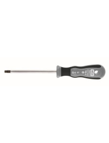 WKRĘTAK TORX Z OTWOREM TX9X70 /WGB/
