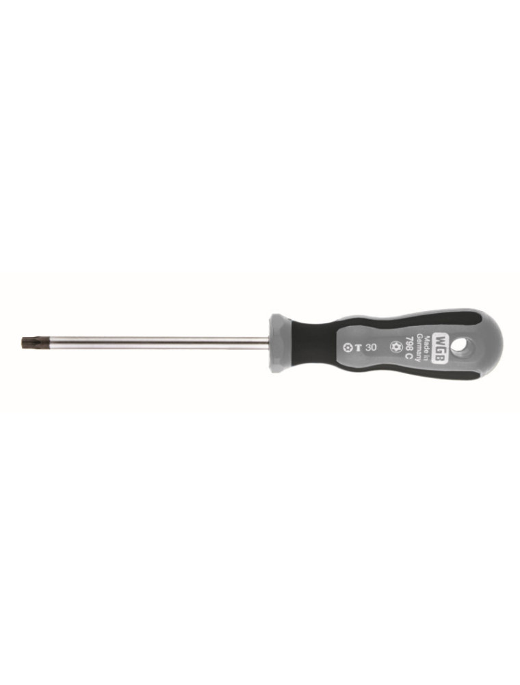 WKRĘTAK TORX Z OTWOREM TX30X110 /WGB/ WKRĘTAK TORX Z OTWOREM TX30X110 /WGB/